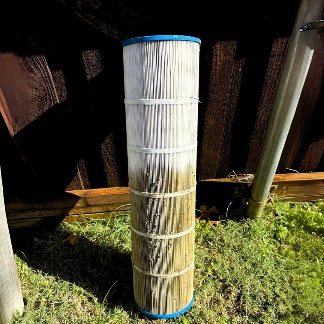 Buff Pools professional inspecting pool water and filter performance