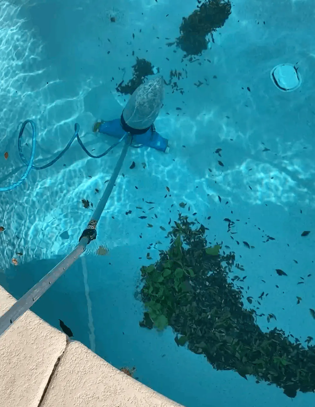 Buff Pools technician skimming a backyard pool during a weekly maintenance visit